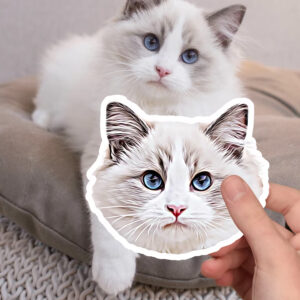 Transparent Sticker